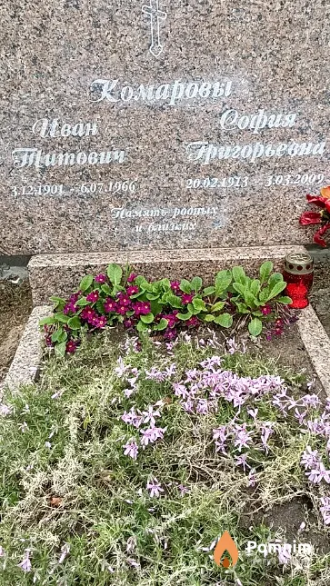 Комарова София Григорьевна