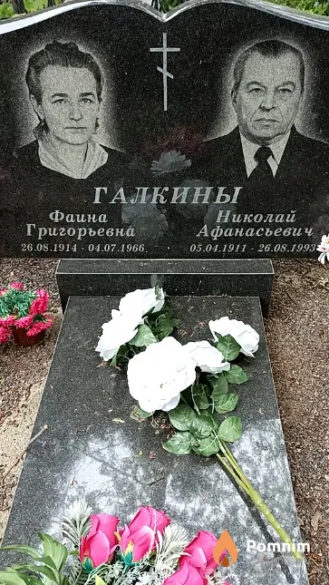 Галкин Николай Афанасьевич