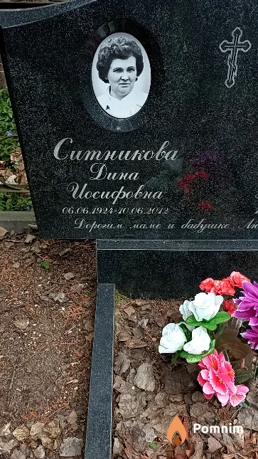 Ситникова Дина Иосифовна