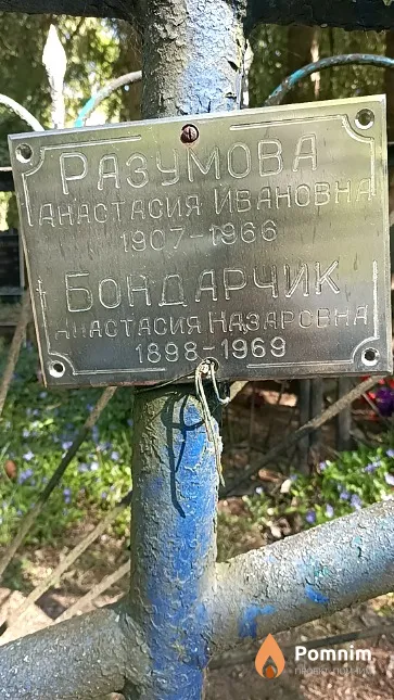 Разумова Анастасия Ивановна