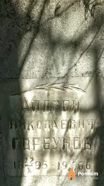 Горбунов Андрей Николаевич