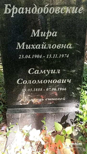 Брандобовский Самуил Соломонович