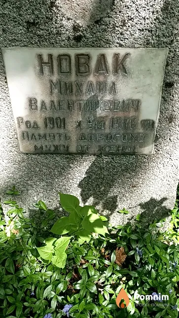Новак Михаил Валентинович