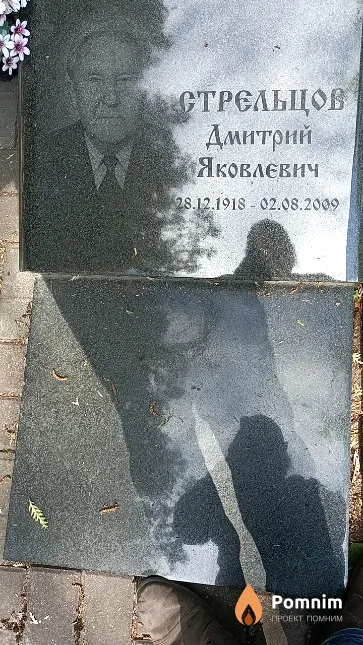 Стрельцов Дмитрий Яковлевич