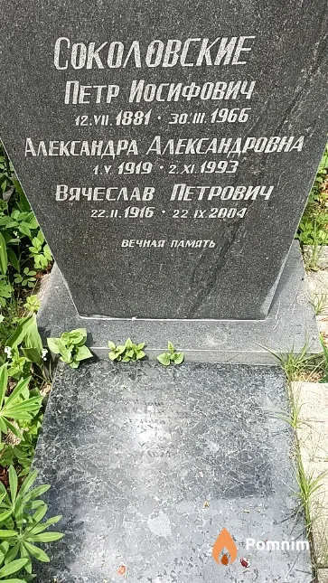 Соколовская Александра Александровна