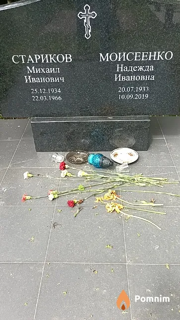 Моисеенко Надежда Ивановна