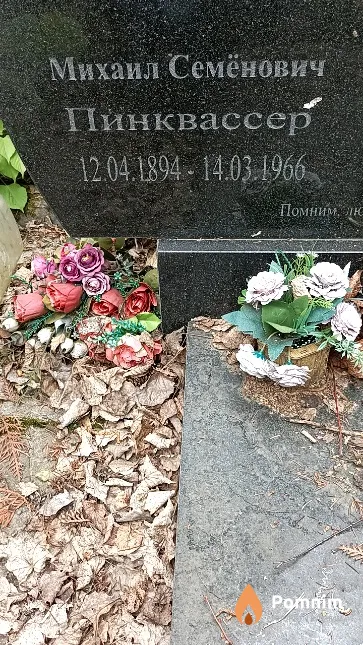 Пинквассер Михаил Семёнович
