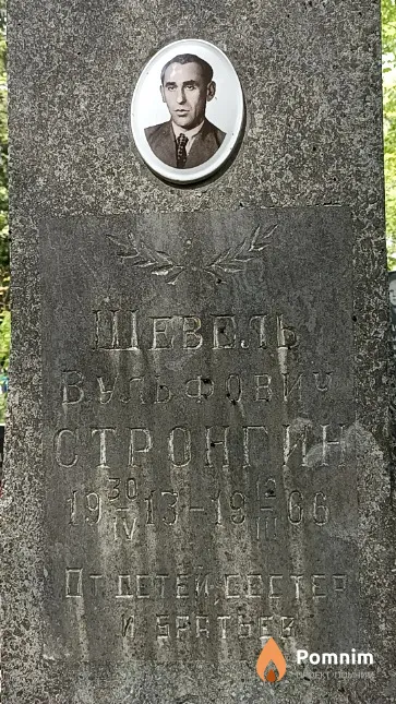 Стронгин Шевель Вульфович
