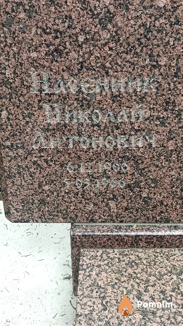Насенник Николай Антонович