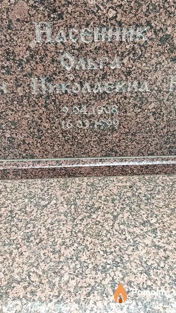 Насенник Ольга Николаевна