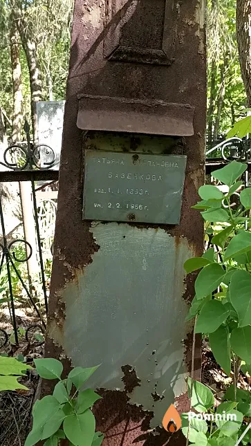 Базенкова Татьяна Степановна
