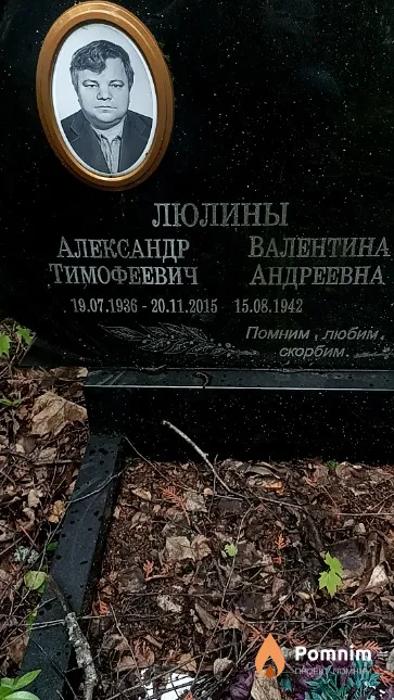 Люлин Александр Тимофеевич