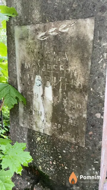 Раввина Хьена Моисеевна