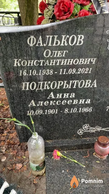 Подкорытова Анна Алексеевна