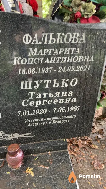 Шутько Татьяна Сергеевна