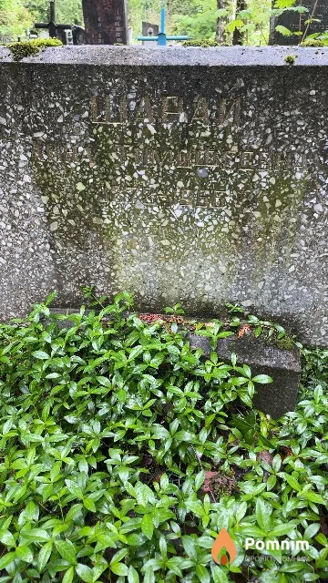 Шарай Анна Тимофеевна