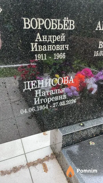 Денисова Наталья Игоревна