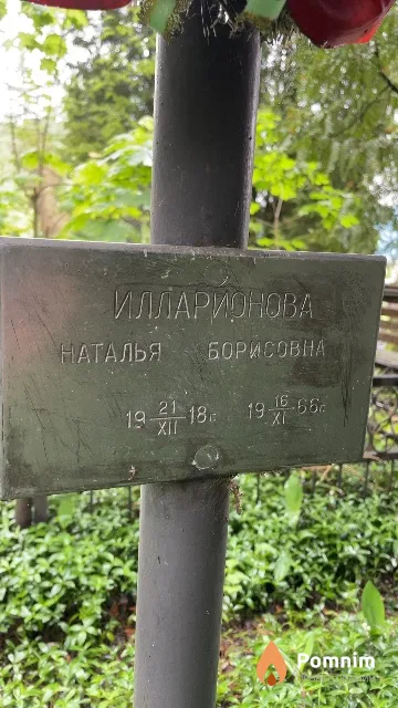 Илларионова Наталья Борисовна