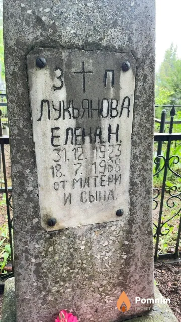 Лукьянова Елена Н.