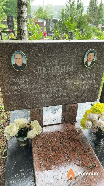 Левина Ирина Абрамона