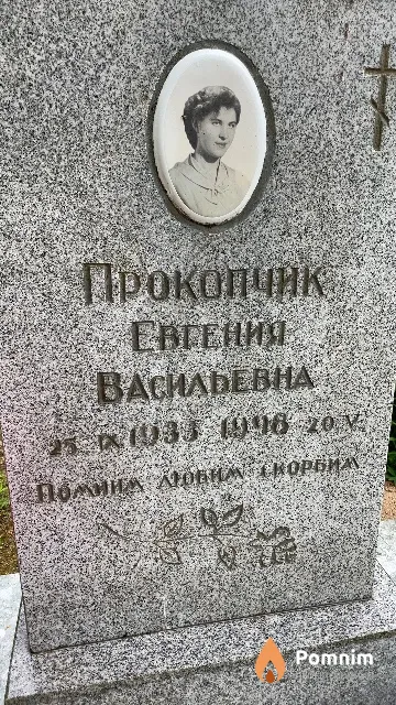Прокопчик Евгения Васильевна