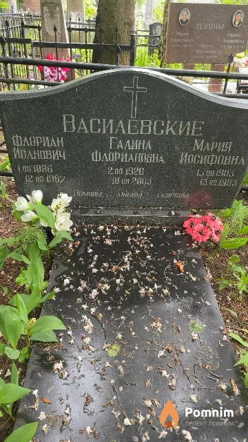 Василевский Флориан Иванович