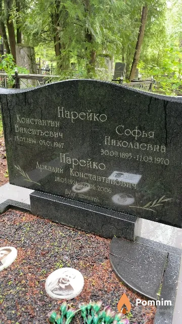 Нарейко Софья Николаевна