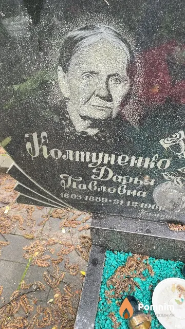 Колтуненко Дарья Павловна
