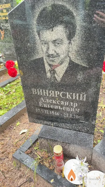 Винярский Александр Евгеньевич