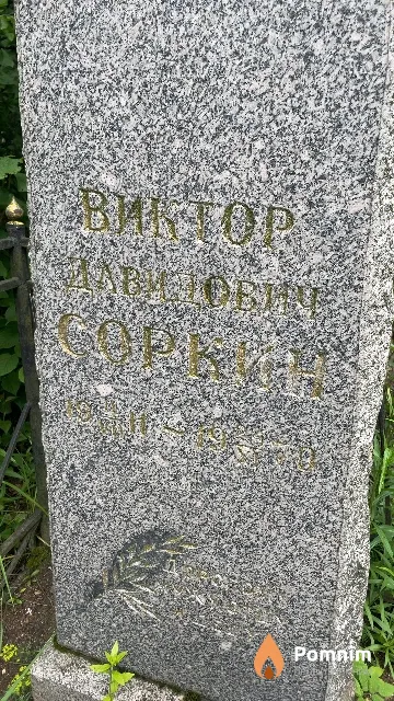 Соркин Виктор Давидович