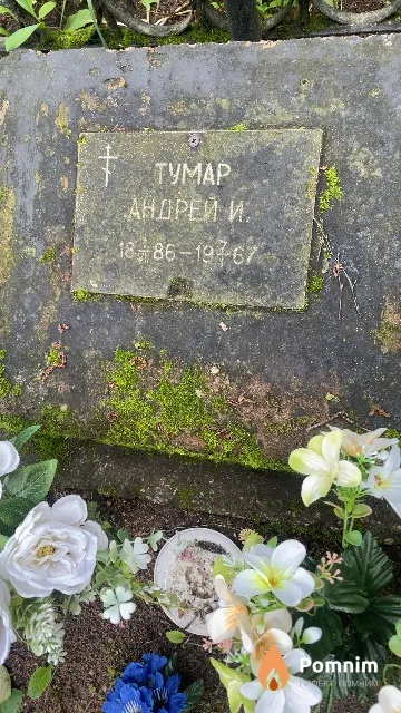 Тумар Андрей И.