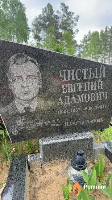 Чистый Евгений Адамович
