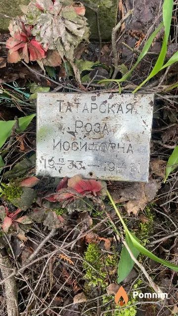Татарская Роза Иосифовна