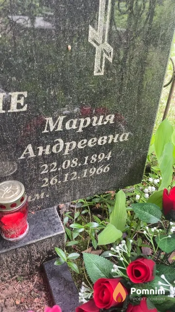 Калиновская Мария Андреевна