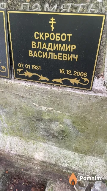 Скробот Владимир Васильевич