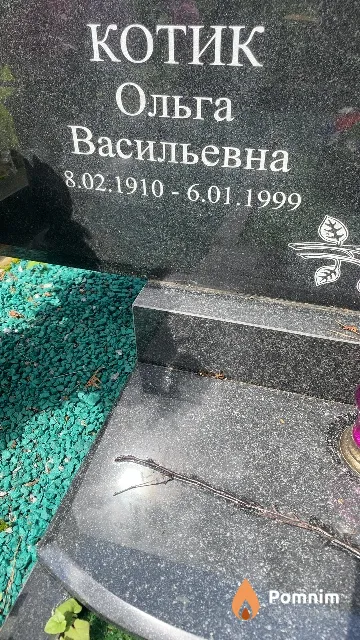 Котик Ольга Васильевна