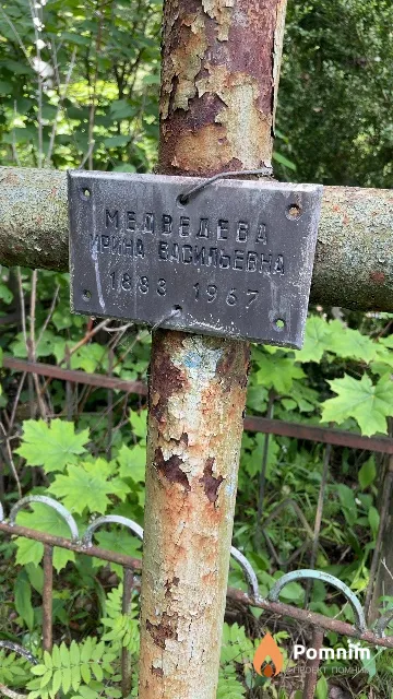 Медведева Ирина Васильевна