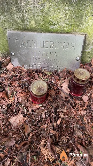 Радишевская Полина Павловна