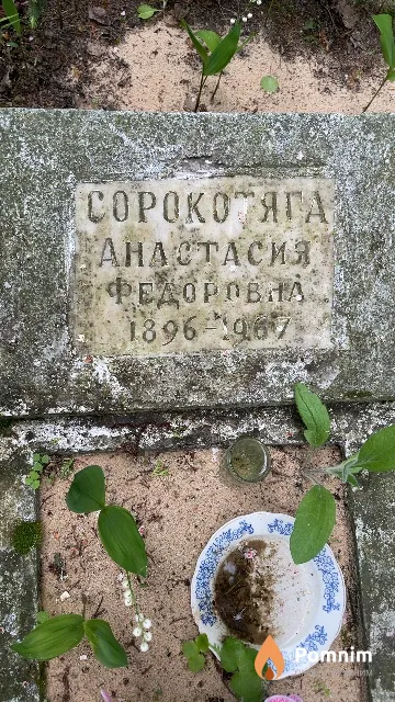 Сорокотяга Анастасия Федоровна