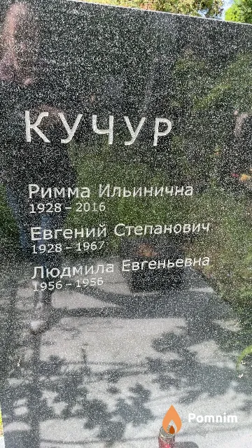 Кучур Евгений Степанович