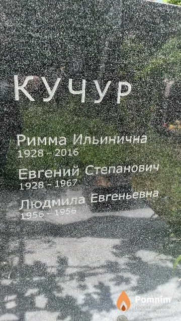 Кучур Людмила Евгеньевна