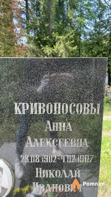Кривоносова Анна Алексеевна
