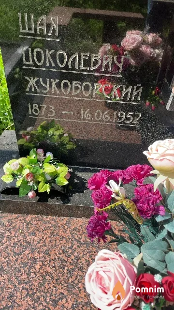 Жукоборский Шая Цоколевич