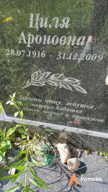 Крыловицкая Циля Ароновна