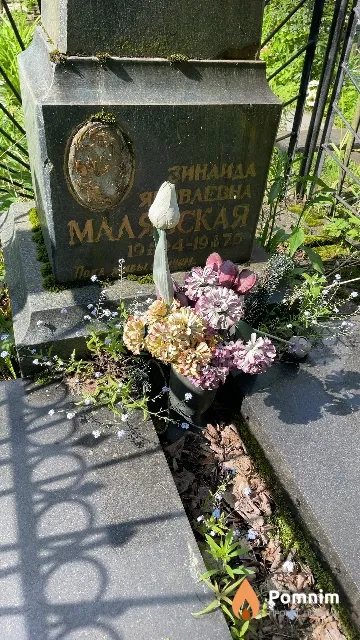 Маляская Зинаида Яковлевна