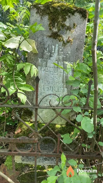 Кабицер Дыня Лейзеровна