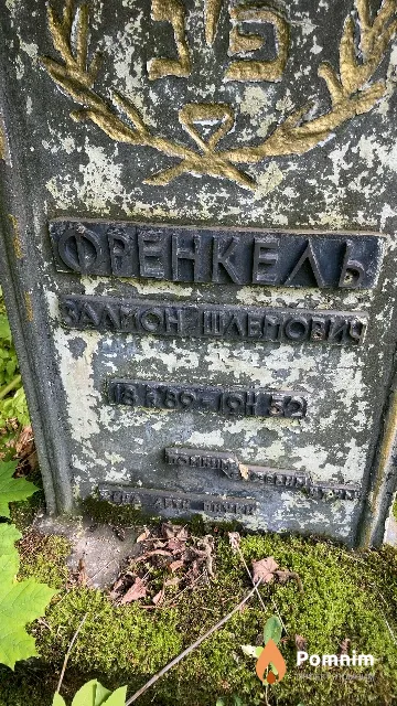 Френкель Балмон Шлемович
