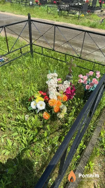 Мязин Данила Алексеевич