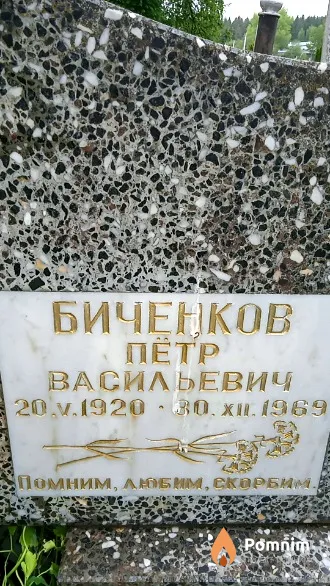 Биченков Петр Васильевич