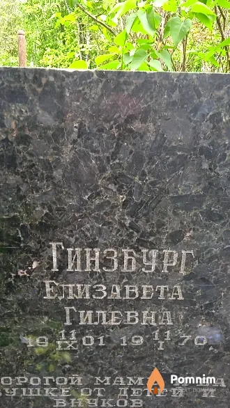 Гинзбург Елизавета Гилевна